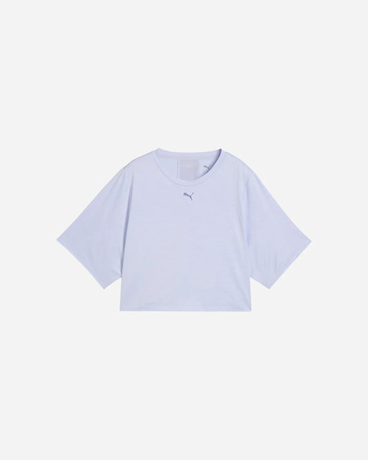 25410894